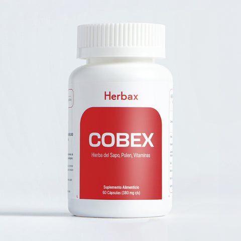 COBEX - frontal
