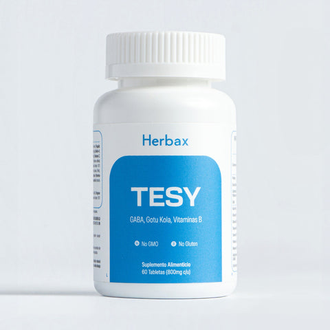 TESY - frontal