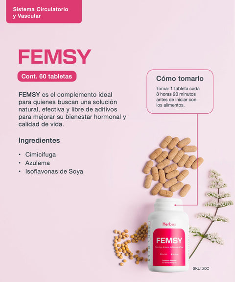 FEMSY