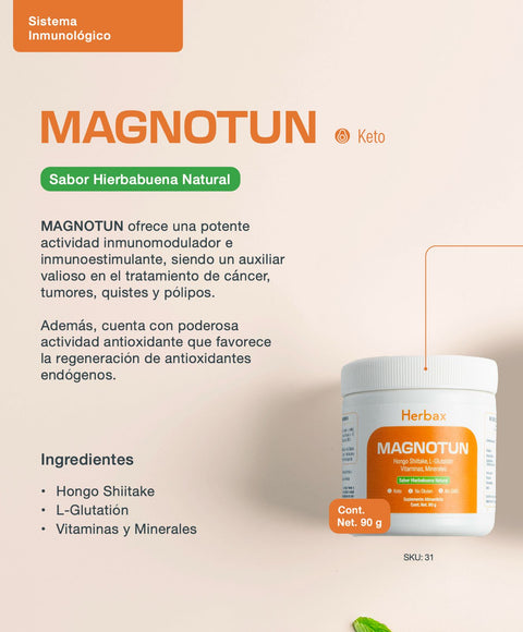 MAGNOTUN 31