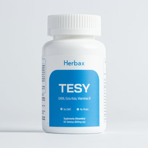 TESY - frontal